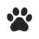 Caucasian Shepherd of Tennessee